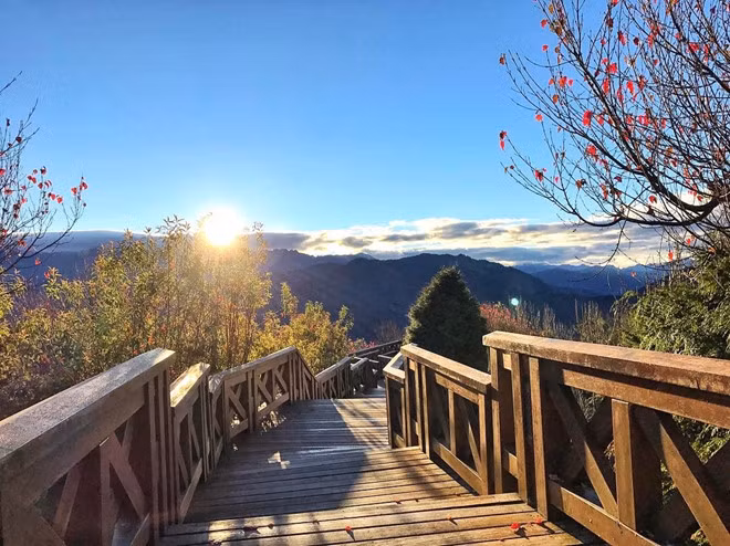 Khoảnh khắc khu rừng A Lý bồng bềnh giữa biển mây khi bình minh ló rạng là điều mà ai cũng muốn chiêm ngương. Đây là thế giới check-in yêu thích của các Instagrammer khi tới thăm quan Đài Loan với bức hình bên rừng cây anh đào nở rộ mỗi mùa xuân, đoàn tàu cổ sơn màu đỏ tươi và những cây cổ thụ hàng trăm năm tuổi.