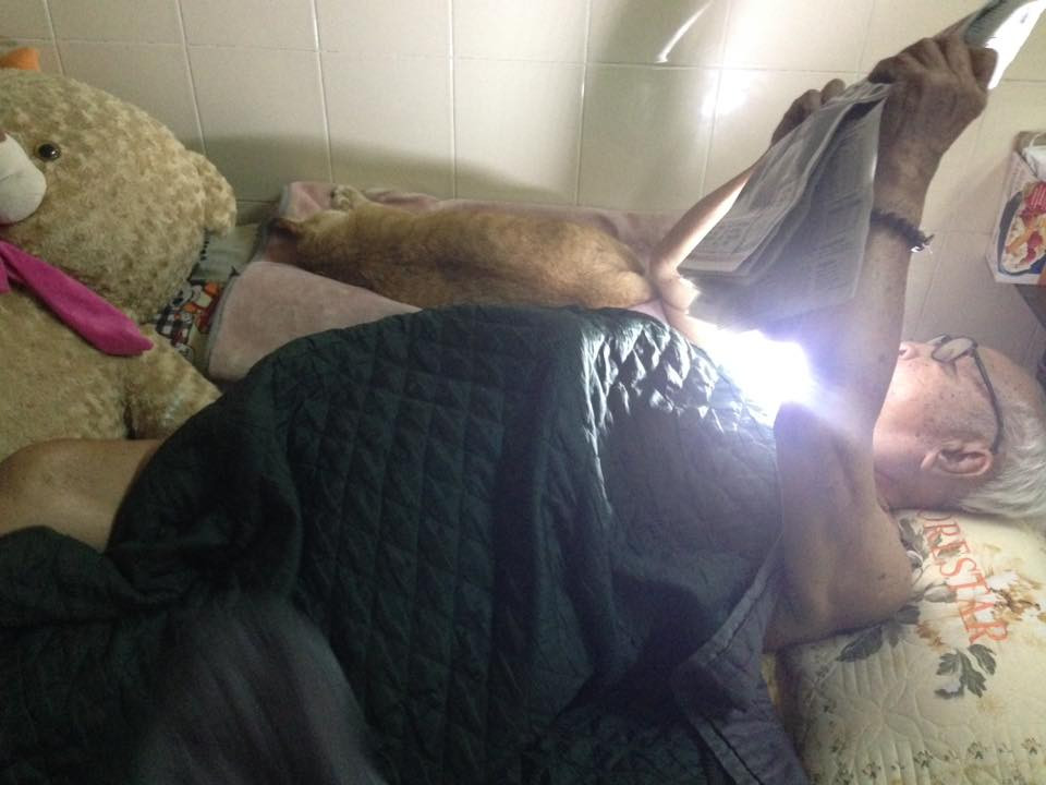 Ngay sau khi đăng tải bài viết của Bi Bo đã thu hút được nhiều sự chú ý của dân mạng và bên cạnh đó họ cũng đăng tải những bức ảnh mà các "ông bà anh" thể hiện tình cảm với các con vật nuôi trong nhà.