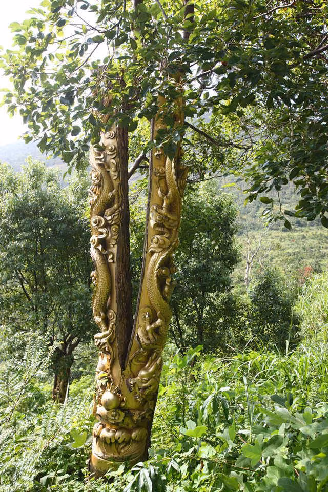 Theo người chủ của công ty danh thắng trên cho biết, hàng chục thân cây long nhãn được các nghệ sĩ điêu khắc hết sức tỉ mỉ, công phu. Trung bình mỗi cây phải cần khoảng thời gian 100 ngày mới hoàn thiện.