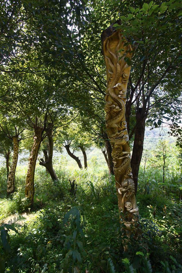 Đáng tiếc những thân cây hình rồng bay phượng múa này sẽ không sống được lâu khi bị tác động từ việc chạm khắc này.