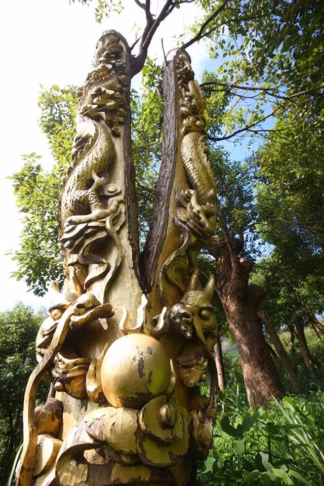 Tuy nhiên ông này cũng thừa nhận, những cây long não này sẽ không chịu được khi bị chạm khắc trực tiếp trên thân và sẽ chết không lâu sau. Hành động này khiến nhiều người tỏ ra khá bất bình và cho rằng đây là việc làm được cho là tàn nhẫn.