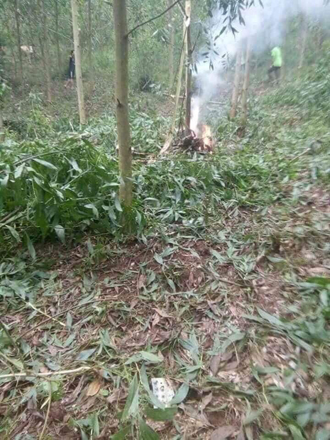 Nickname Minh Tú chia sẻ trên MXH rằng: " Xin gửi lời chia buồn tới gia quyến và đây là sự tổn thất nặng nề không chỉ với gia đình mà còn với Quân chủng Phòng không - Không quân. Bởi việc đào tạo được một phi công không đơn giản chút nào, sự ra đi của các anh thật đau xót".