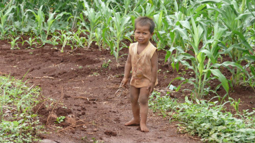 Chưa dừng lại ở đó, nhiều dân mạng còn kể về những lần ngã xe của mình không thua kém gì cậu bé khi tập xe đạp. Đó là những "phi vụ" lao xuống mương, phi vào cột điện hay đâm vào đống rơm.