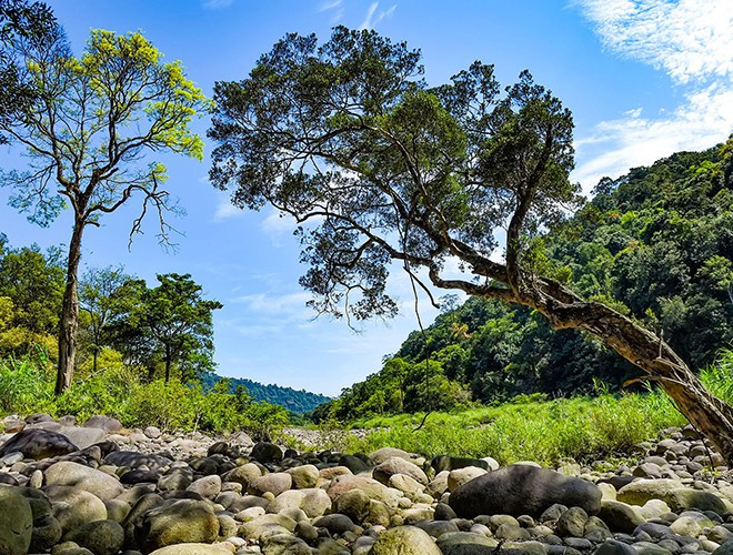 Vườn quốc gia Vũ Quang không chỉ là nơi có nhiều loài sinh vật đặc hữu chỉ có ở Việt Nam mà còn dần trở thành địa chỉ du lịch sinh thái hấp dẫn tại Hà Tĩnh. Du khách tới đây sẽ được trải nghiệm, khám phá những điều bí ẩn của thiên nhiên