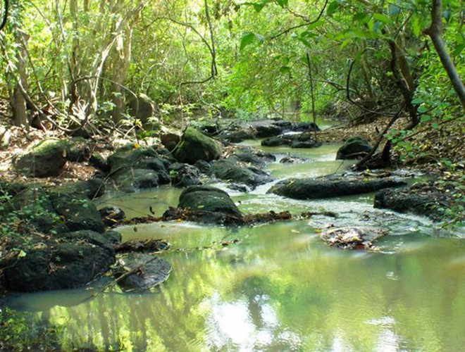 Vườn được chia thành ba phân khu: Khu bảo vệ 8.179 ha, phân khu phục hồi sinh thái khoảng 10.852 ha, phân khu hành chính dịch vụ 125 ha