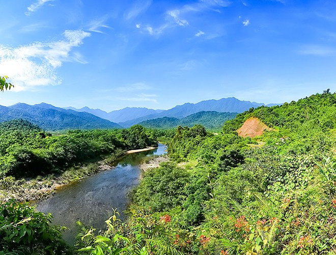 Vườn quốc gia Vũ Quang có tính đa dạng sinh học cao. 1.612 loài thực vật bậc cao thuộc 191 họ và 676 chi, trong đó có 94 loài thực vật có tên trong Sách Đỏ Việt Nam