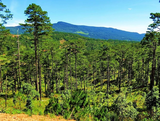 Nơi đây có diện tích 63.938 ha, là nơi tập hợp phong phú nguồn tài nguyên thiên nhiên, cảnh quan đẹp cùng với đó là sự đa dạng sinh học