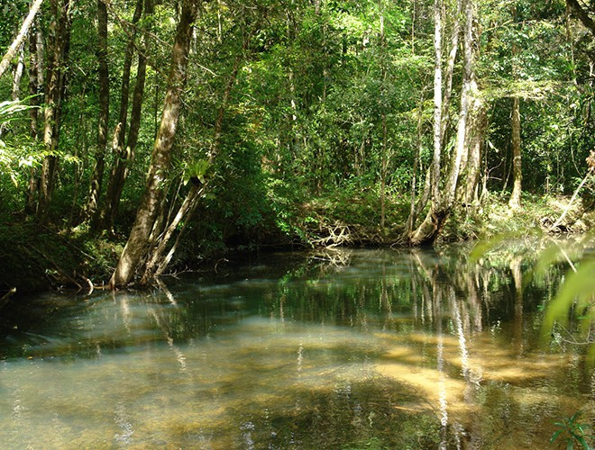 Ngoài ra, Bidoup Núi Bà còn được biết đến là một trong 221 trung tâm chim đặc hữu của thế giới và là điểm du lịch hút khách tại tỉnh Lâm Đồng với đỉnh Bidoup, “nóc nhà” của Tây Nguyên, cao hơn 2.287m