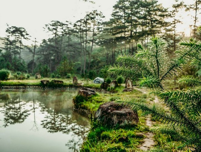 Vườn quốc gia thứ hai được công nhận là Vườn Di sản ASEAN nằm ở huyện Lạc Dương, huyện Đam Rông của tỉnh Lâm Đồng. Đó là vườn quốc gia Bidoup Núi Bà