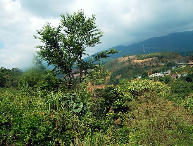 Khu bảo tồn thiên nhiên Ngọc Linh nằm trên địa bàn tỉnh Kon Tum có diện tích 41.420 ha, là 1 trong 4 địa điểm được công nhận Vườn Di sản ASEAN mới