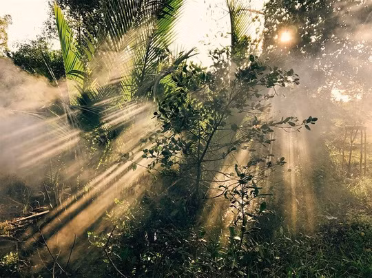 Xa hơn nữa là phố cổ Hội An với đêm đèn lồng đặc trưng, là Cần Thơ với dừa nước, lá tre và cuộc sống sông nước, là rừng tràm Trà Sư (An Giang)...