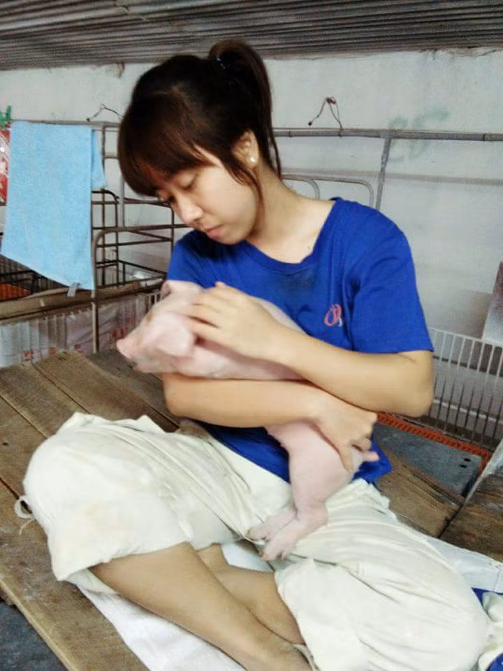 Có lẽ sinh viên luôn là quãng thời gian tưởng chừng khá nhàn rỗi nhưng đối với một số ngành học trong đó có nông nghiệp thì lại chưa hẳn như vậy. Mới đây, nữ sinh ĐH Nông Lâm Thái Nguyên đã chia sẻ về kì thực tập đáng nhớ của mình.