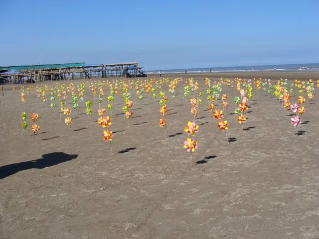 Vào những ngày hè nóng bức, Cồn Vành trở thành địa điểm giải nhiệt lý tưởng của người dân Thái Bình và du khách.