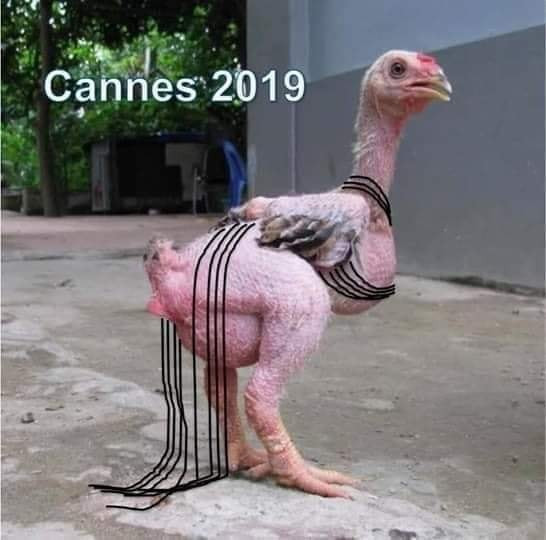 Bộ trang phục của Ngọc Trinh qua góc nhìn của nhiều dân mạng.