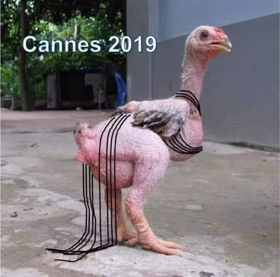 Bộ trang phục của Ngọc Trinh qua góc nhìn của nhiều dân mạng.