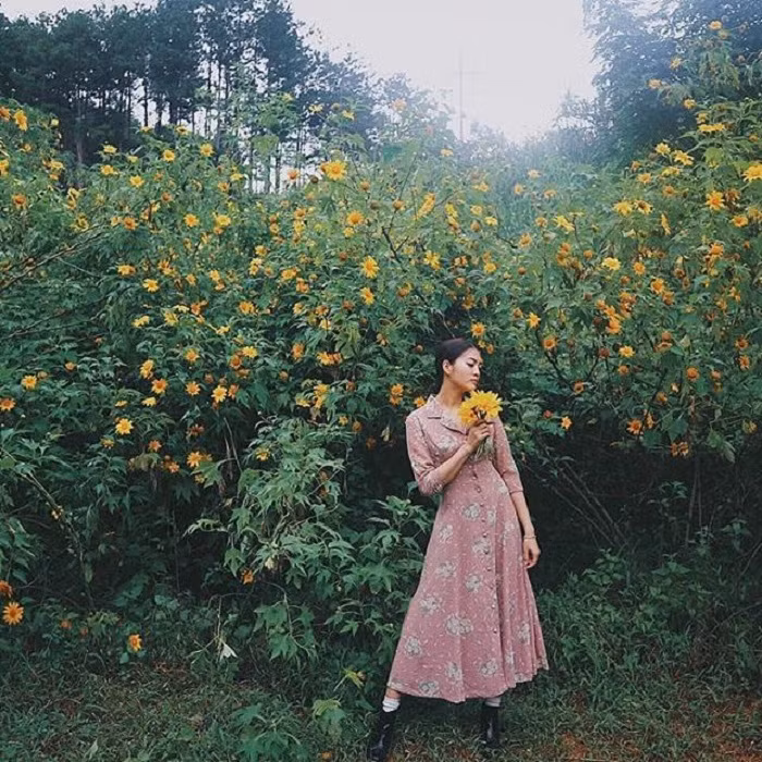 Ba Vì, Đà Lạt, Tây Nguyên hay Mộc Châu chính là những địa điểm được các bạn gái lựa chọn để khoe sắc bên hoa dã quỳ. Ảnh: Summer_rose