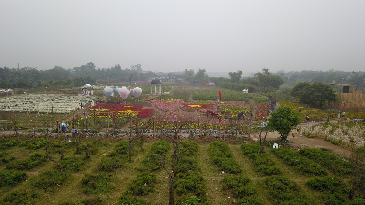 Theo tìm hiểu của PV Kiến Thức, vườn hoa này nằm tại khu vực quận Long Biên - Hà Nội và chủ nhân của vườn này đã bật mí ý tưởng để tạo nên nó.