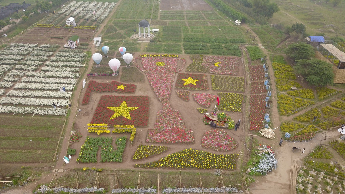 Hàng chục nghìn cây hoa thuộc rất nhiều loại các nhau được mang về đây để tạo thành tổ hợp chúc mừng các cầu thủ đội tuyển Việt Nam.