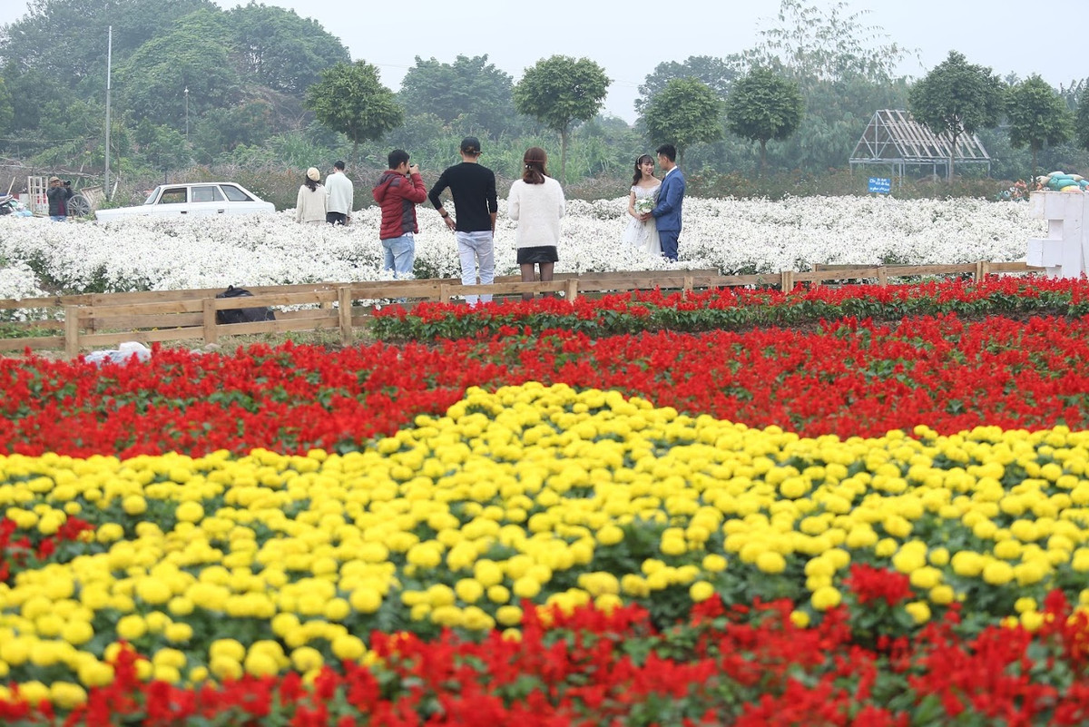Ngoài ra, còn có những tiểu cảnh hình con thuyền vươn mình ra biển lớn, được trang trí bằng hoa cúc nhiều màu và lá cờ tung bay trong gió mang ý nghĩa đội tuyển Việt Nam vươn tầm ra biển lớn châu lục ở Asian Cup 2019.