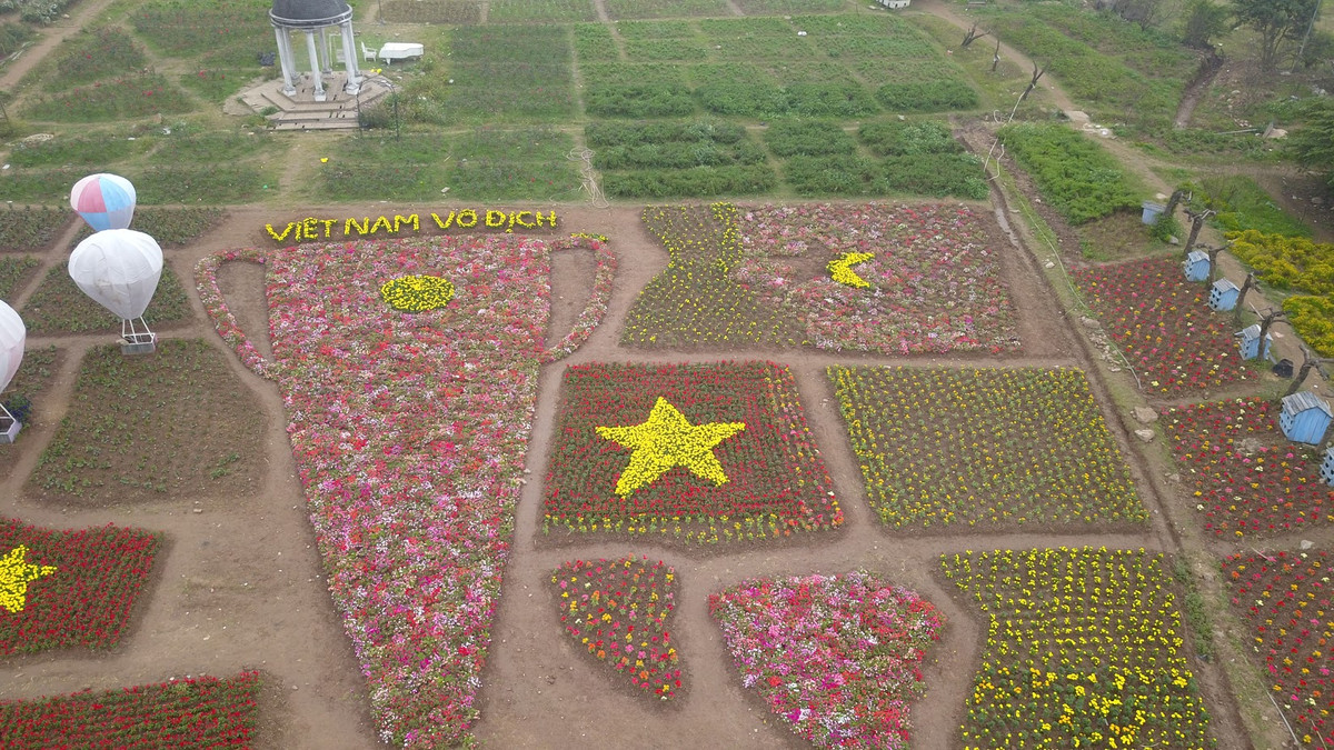 Vốn là một người yêu thích bóng đá, anh Chương Thế Hùng chủ một vườn hoa đã nảy ra ý tưởng độc đáo: Tạo hình một chiếc Cup vô địch khổng lồ bằng hoa.