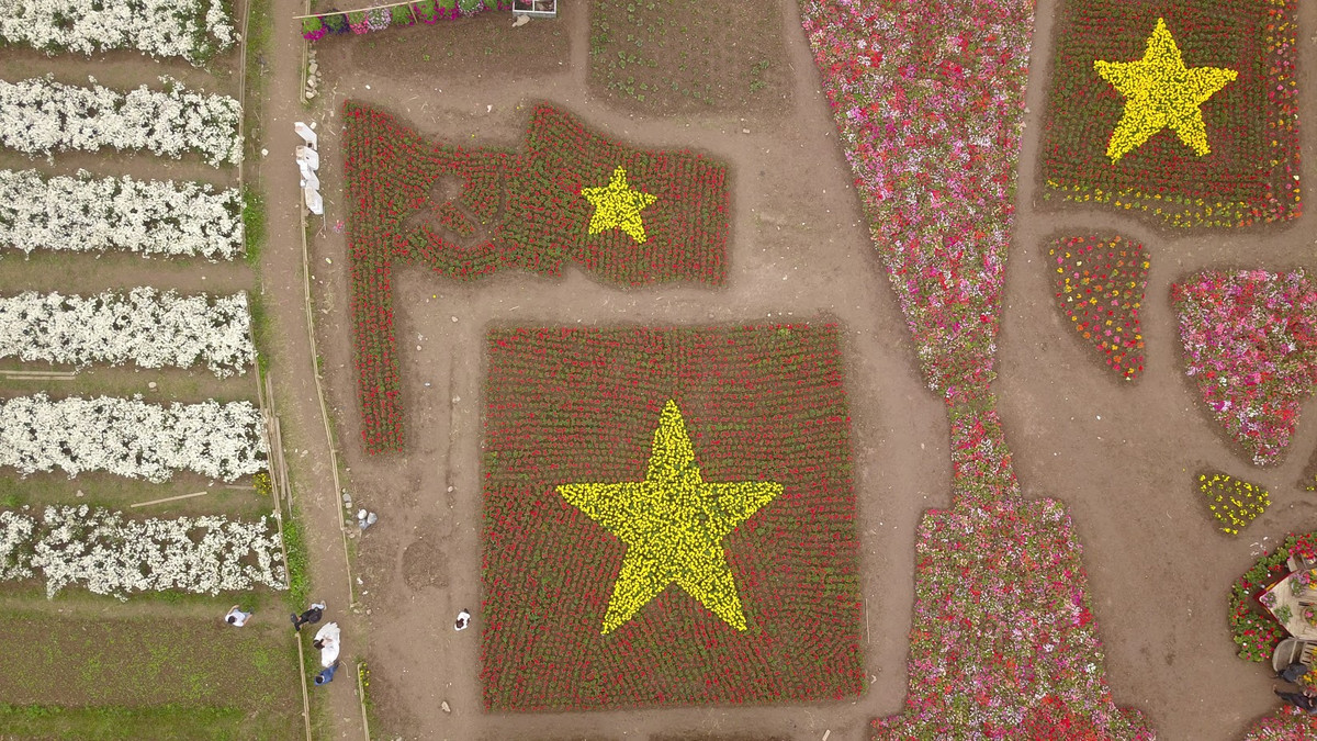 Cũng theo anh Hùng cho biết, 15 công nhân làm việc liên tục trong 2 tháng mới tạo thành công trình bằng hoa khổng lồ này.