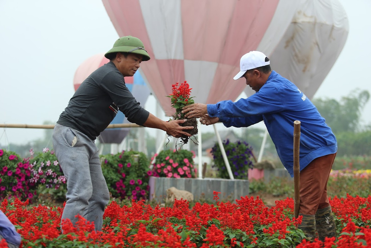 Dù công trình này đã hoàn thành nhưng hàng ngày vẫn phải có người chăm sóc.