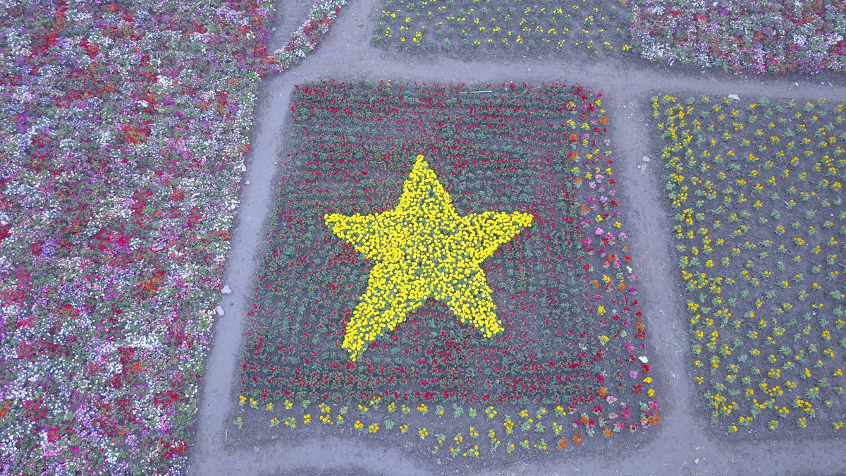 Theo anh Hùng cho biết , thời gian ươm trồng và chăm sóc khu vườn mất hơn 2 tháng với khoảng 15 công nhân trồng và chăm sóc. Anh Hùng cho biết bóng đá là môn thể thao có thể kết nối tinh thần dân tộc, bản thân anh ngoài bóng đá còn rất yêu thích thiên nhiên nên mới nảy ra ý tưởng làm chiếc cup khổng lồ này.