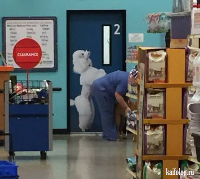 Đừng có mà nghĩ bậy bạ đó nha.