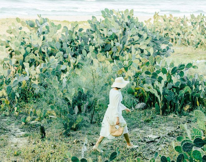 Trong một lần đi khám phá Đà Nẵng, Vinh và một cô bạn của mình đã tìm ra được một bụi xương rồng khá rộng và đẹp. Không ngần ngại, cậu bạn này đã lập tức "nảy" ra concept và thành quả là một album ảnh gây sốt MXH.