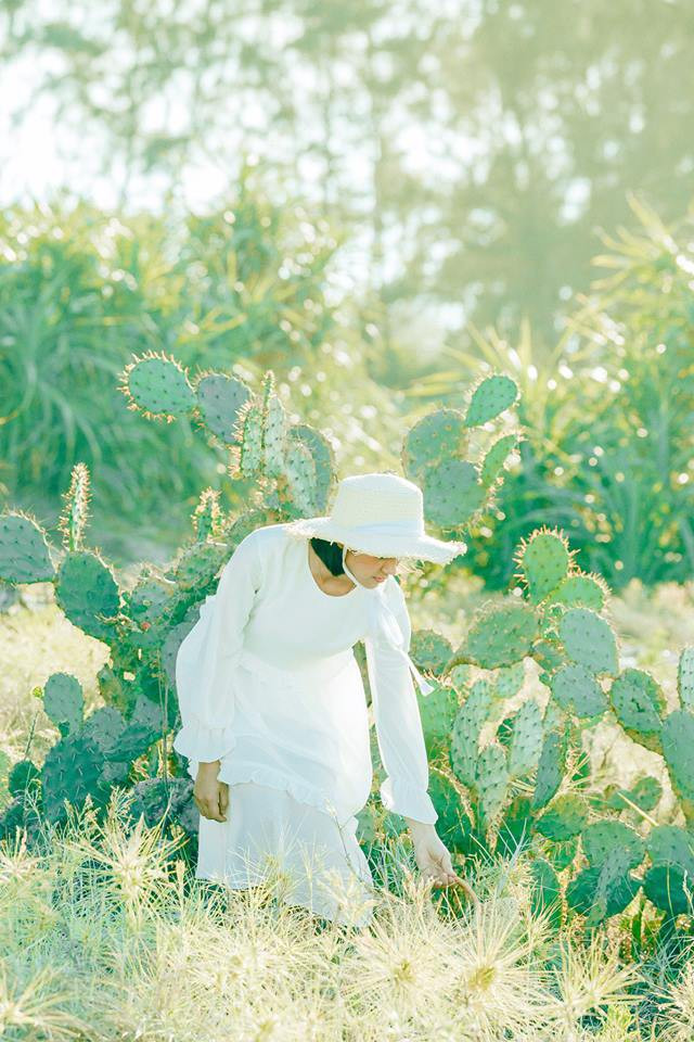 Dân mạng không tiếc lời nhận xét bộ ảnh "Hạ chí" rằng: "Xem đến tấm nào là như chìm vào tấm đó luôn. Thật sự quá thu hút."