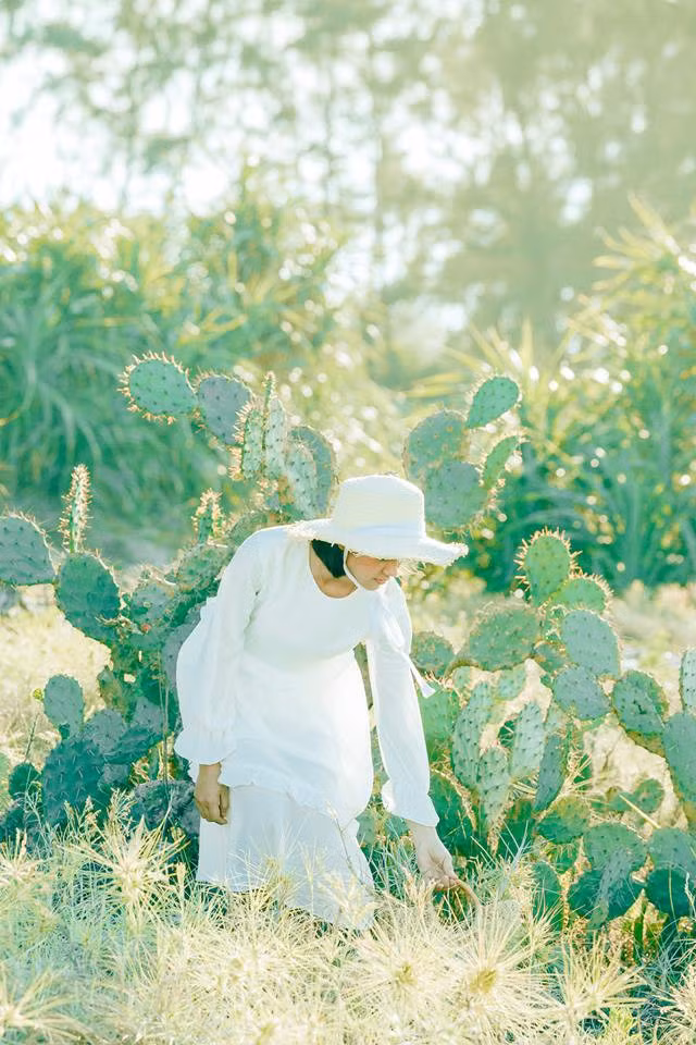 Dân mạng không tiếc lời nhận xét bộ ảnh "Hạ chí" rằng: "Xem đến tấm nào là như chìm vào tấm đó luôn. Thật sự quá thu hút."