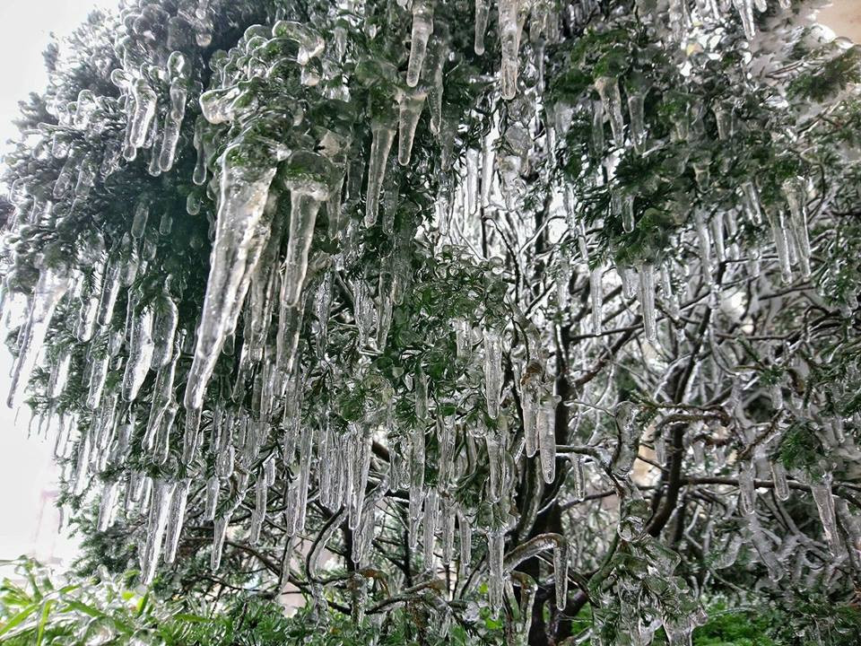 Đỉnh Mẫu Sơn đã xuất hiện sắc trắng diệu kì khắp núi rừng, đường quốc lộ , nhà dân, khiến bao người ngạc nhiên thích thú.