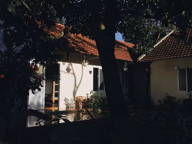 Trong những ngày vừa qua, trên các diễn đàn du lịch cũng như phượt thủ, các bạn trẻ nhắc nhiều tới cái tên homestay Bơ House. Một nơi nghỉ ngơi mà bạn cùng người thân sẽ có dịp ngắm Mộc Châu lung linh hơn giữa những ngọn đồi xanh ngắt.