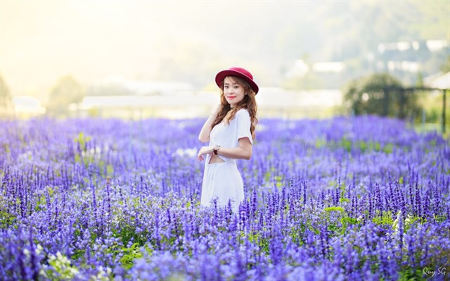 Không chỉ có hoa, quán cafe ở Đà Lạt này còn sở hữu kiến trúc đặc biệt với từ trên cao không gian thoáng mát, view những cánh đồng hoa trải dài.