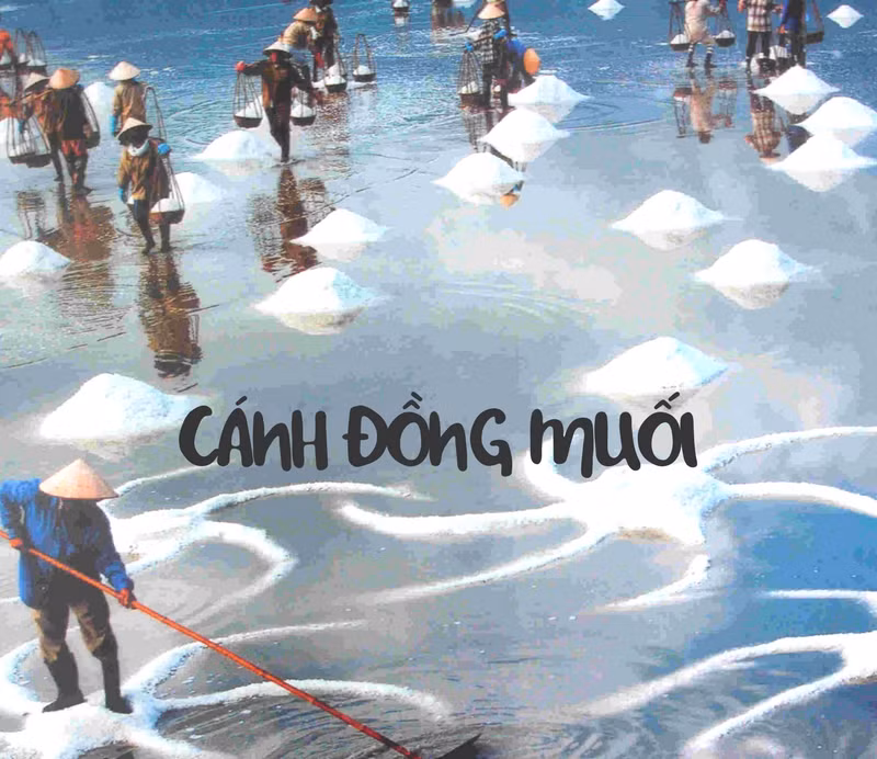 Vốn là nơi cung cấp số lượng muối lớn cho khu vực đồng bằng sông Cửu Long nên cánh đồng muối là nét đặc thù của tỉnh Bạc Liêu. Biển Bạc Liêu khá sạch, độ mặn cao nên muối tốt và thu hoạch nhanh. Tận dụng lợi thế này nên người dân ở đây luôn lao động cật lực, lam lũ để cho ra những hạt muối trắng ngần.