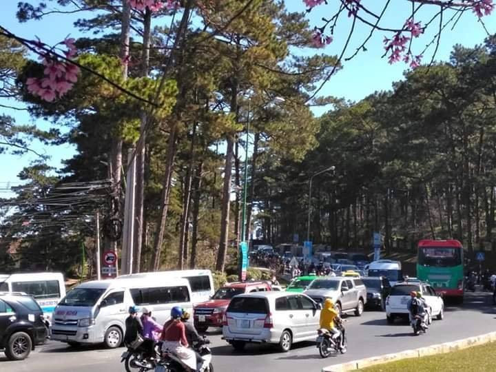 Tuy nhiên, lượng người đổ về Đà Lạt du lịch vào dịp Tết khiến các nhà nghỉ tại khu vực này cháy phòng và các chủ cơ sở lưu trú được dịp tăng giá.