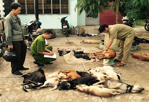 Theo chia sẻ của chủ nhân tấm hình, thì sự việc xảy ra vào đêm 6/9 tại ở phường Long Bình Tân, TP. Biên Hòa. Được biết, khoảng hơn chục con chó trong xóm đều bị đánh bả chết, không chỉ có chó mà cả những con mèo cũng bị. Ảnh minh họa.