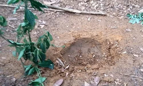 Hố sâu do vật thể lạ rơi xuống để lại.