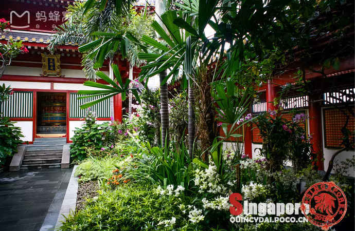 Đây là khu sân thượng trên tầng 5 của ngôi chùa, một nơi yên tĩnh và thoáng mát với không gian cây cảnh trong xanh, du khách có thể tĩnh tâm cảm nhận cảm giác thư thái, nhẹ nhàng.