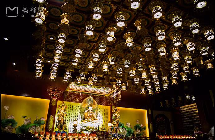 Nguồn gốc tên ngôi chùa xuất phát từ việc những chiếc răng mà nhà sư để lại trong các ngôi chùa Phật giáo. Ngôi chùa được thiết kế theo phong cách thời nhà Đường, kết hợp với Phật giáo Mandala từ chính chủ trì – Pháp sư Thích Pháp Chiếu, cùng với số tiền đầu tư lên đến 75 triệu USD từ những đoàn cố vấn trong và ngoài nước.