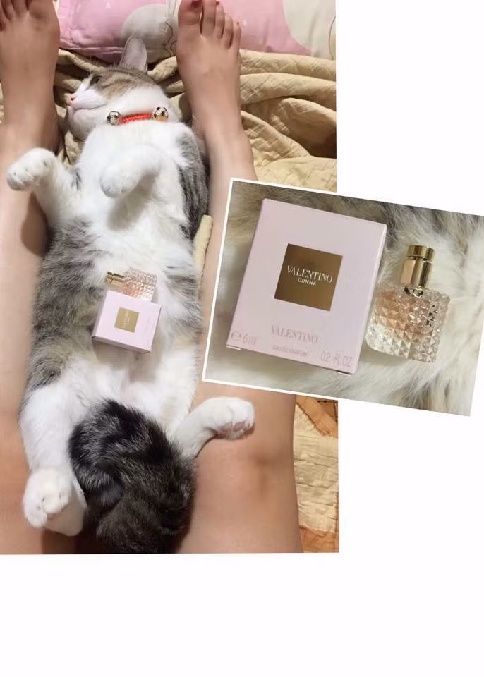 Không biết khách hàng ngắm sản phẩm hay ngắm boss nữa đây? Ảnh sử dụng trong bài: Sưu tầm Facebook.