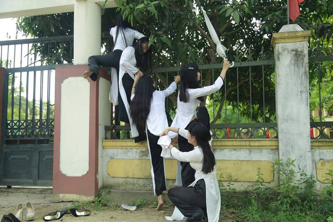 Cụ thể tấm bảng có ghi: "Các em học sinh chú ý: Hiện nay, xoài trong trường còn quá nhỏ. Các em giữ gìn. Không hái, không ném. Khi nào lớn, chín hẵng hái".