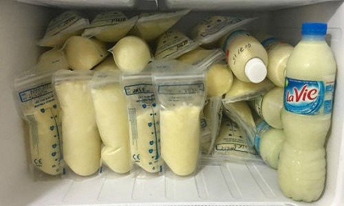 Nạn sũa non truóc sinh, hại cả con lãn mẹ