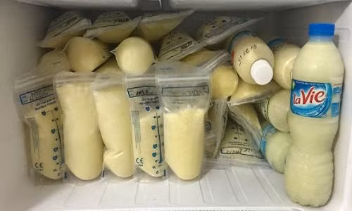 Nạn sũa non truóc sinh, hại cả con lãn mẹ