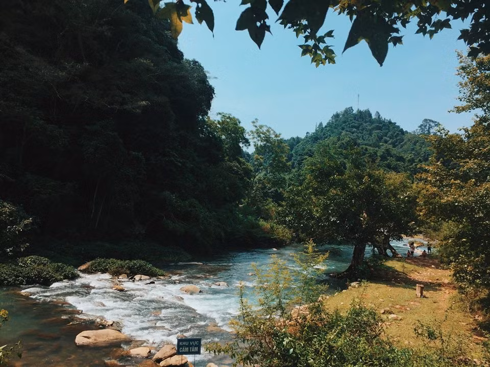 Nếu ai muốn ngắm hoa dã quỳ, tam giác mạch ở Cao Băng thì có thể đi vào tháng 11,12. Nên đi vào các ngày trong tuần nếu không muốn nhìn thấy toàn người là người.