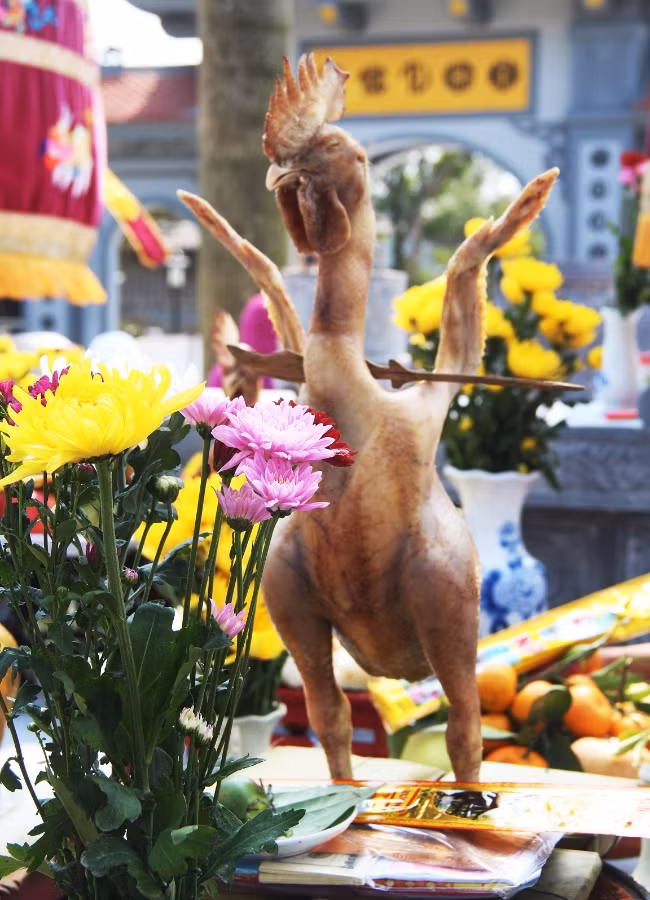 Sau khi những hình ảnh chú gà luộc độc đáo được đăng tải, nhiều dân mạng bày tỏ ý kiến rằng: "Gà ngậm hoa với tư thế trên đĩa xôi cổ điển xưa rồi, nay gà cúng rằm phải có thần thái, tạo dáng nghệ thuật chẳng kém người mẫu mới ăn điểm".