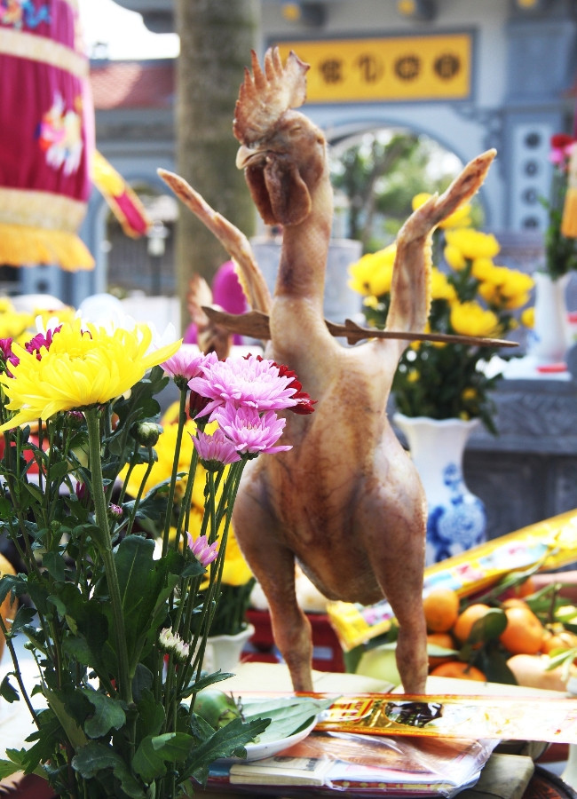 Sau khi những hình ảnh chú gà luộc độc đáo được đăng tải, nhiều dân mạng bày tỏ ý kiến rằng: "Gà ngậm hoa với tư thế trên đĩa xôi cổ điển xưa rồi, nay gà cúng rằm phải có thần thái, tạo dáng nghệ thuật chẳng kém người mẫu mới ăn điểm".