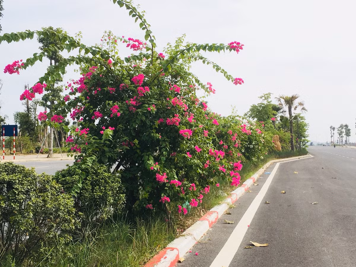 KDT Thanh Ha hoan thanh den 90% co so ha tang phuc vu nguoi than-Hinh-5