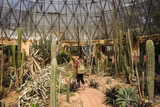 Điều chú ý với các bạn khi tới với vườn xương rồng khổng lồ đó là bạn nên chọn trang phục không quá sáng để hòa nhập với khung cảnh xung quanh thì mới có ảnh đẹp.