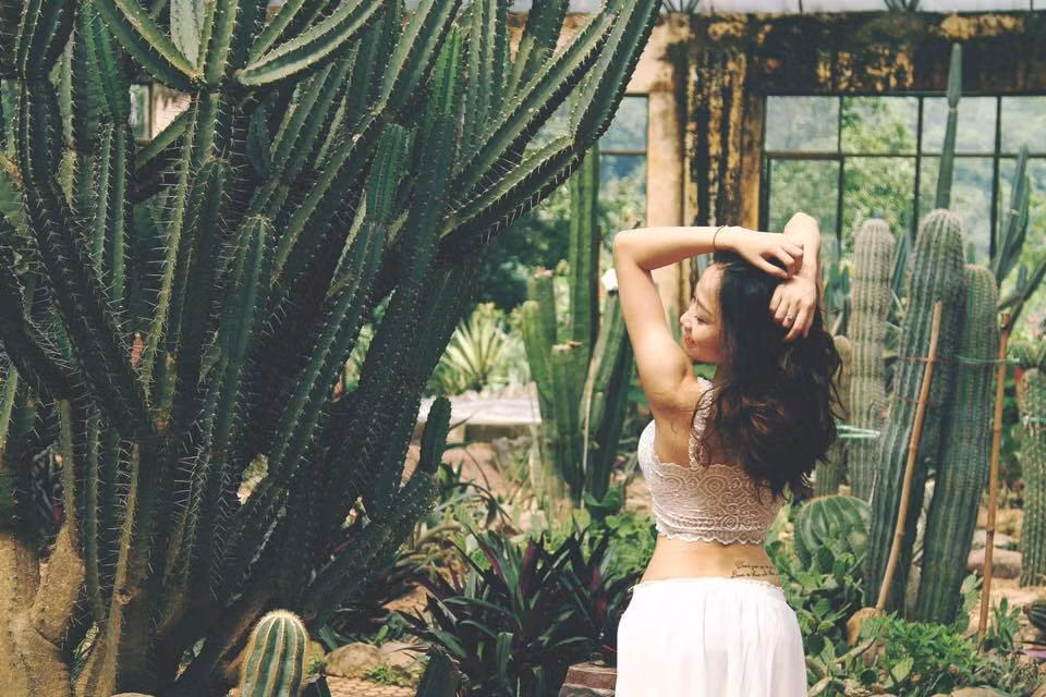 Thoạt nhìn, khung cảnh của nhà kính xương rồng Ba Vì không có gì đặc biệt với những rặng cây um tùm, xù xì gai góc.